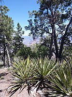 grand canyon rive sud (2).JPG